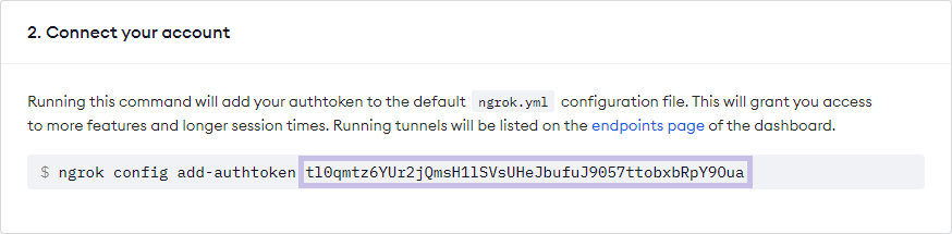 Ngrok token